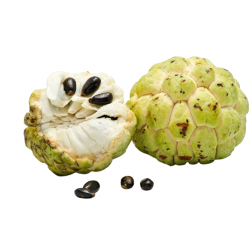 Custard Apple (Sharifa) (Semiripe) 500g - 600g